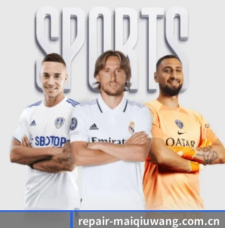 五大服务分区,信息按项目分类(maiqiuwang)